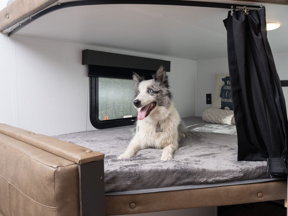 Outback 244UBH Bunk