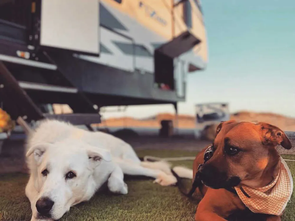 2021 Rv Models Best 2021 RV Models for Pets | Keystone RV Blog - Keystone RV