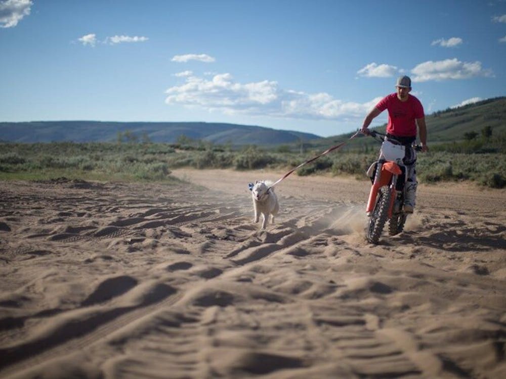 man riding dirt bike with white dog running beside him