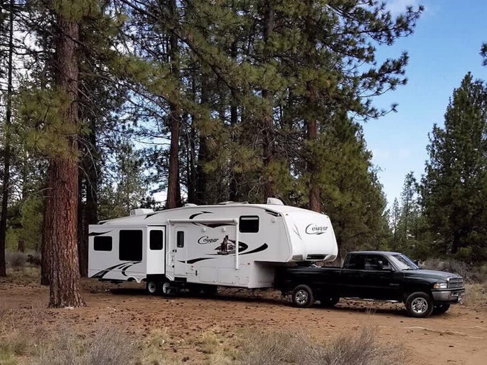 Cougar RV Boondocking in the forest