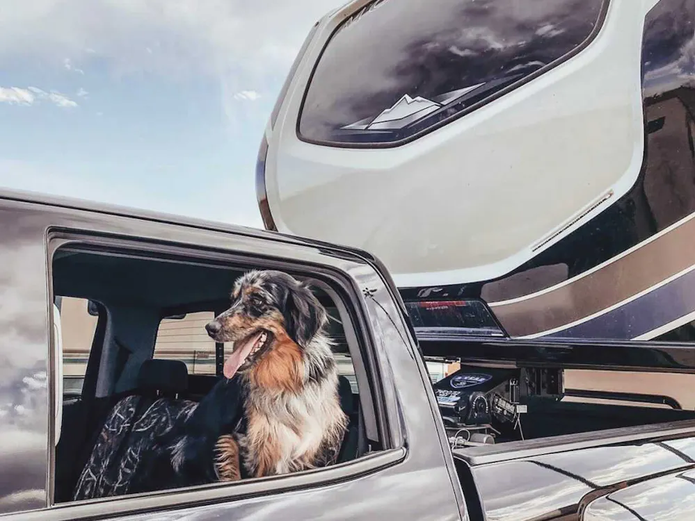 2021 Rv Models Best 2021 RV Models for Pets | Keystone RV Blog - Keystone RV