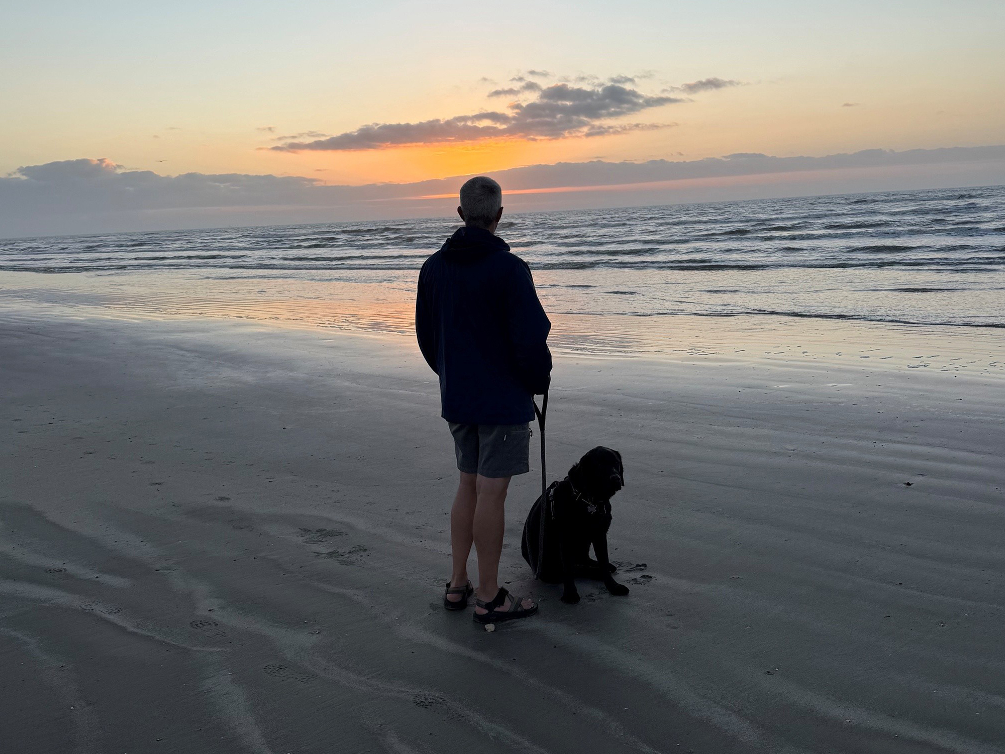 Man and dog enjoying the beach sunset
