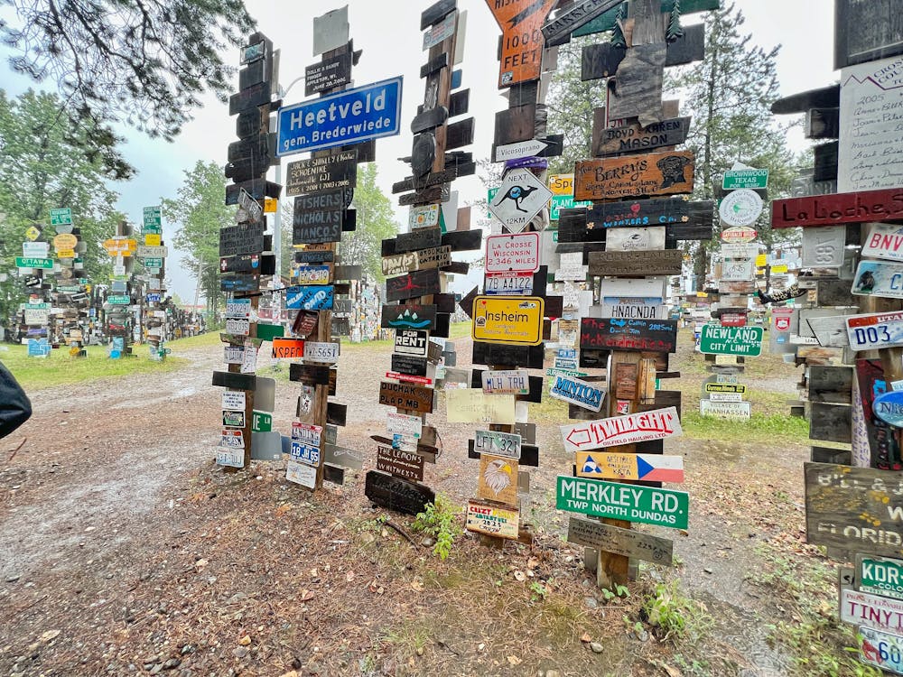 Sign Post Forest