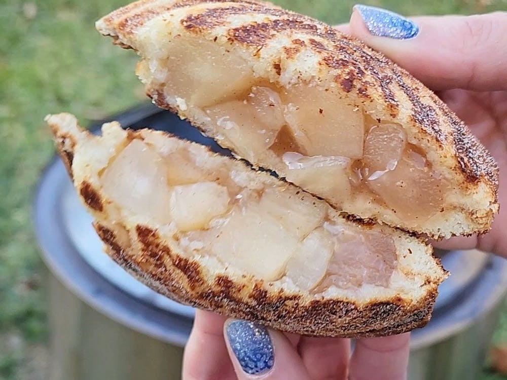 Campin Erin Sweet Treat Apple Pie