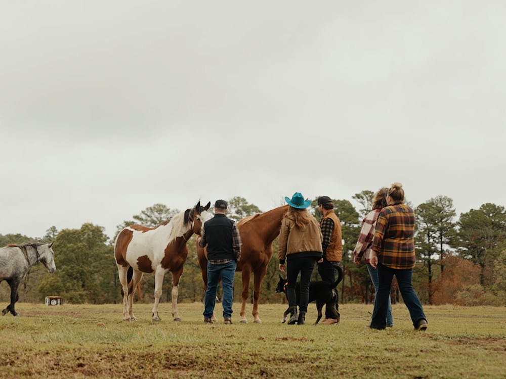 Volunteers loving on a rescued horse