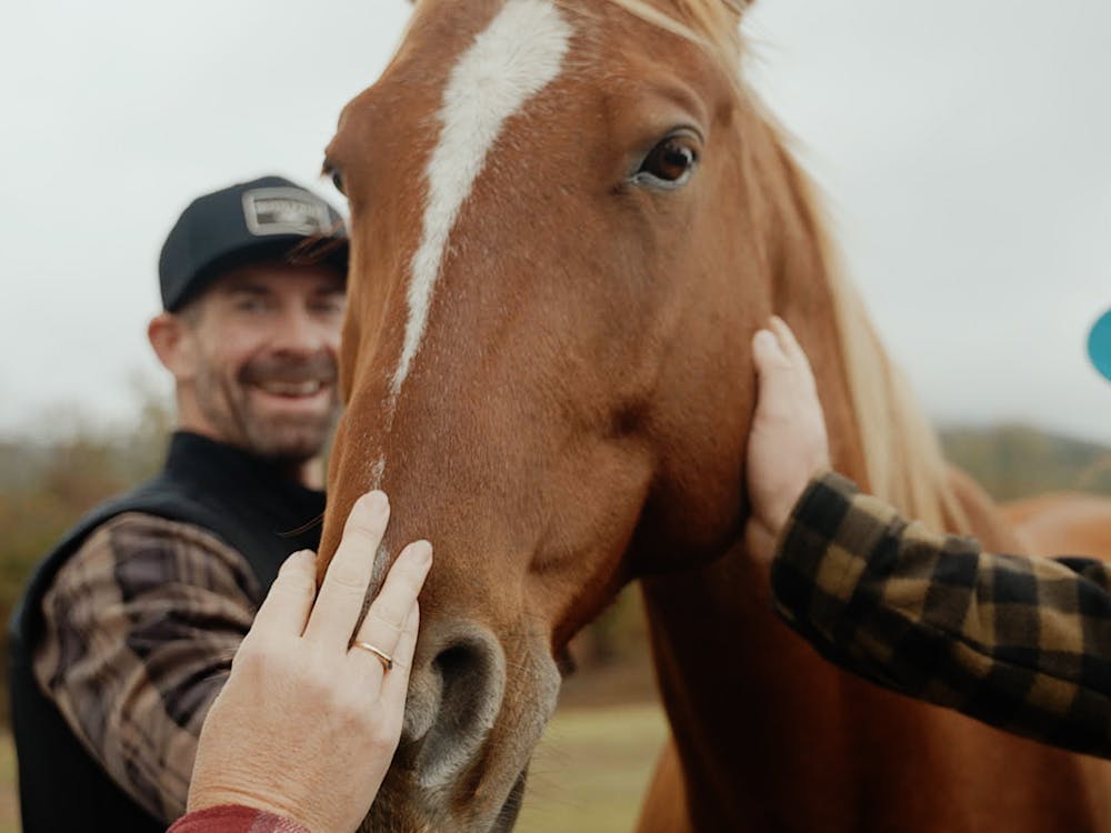 Volunteers loving on a rescued horse