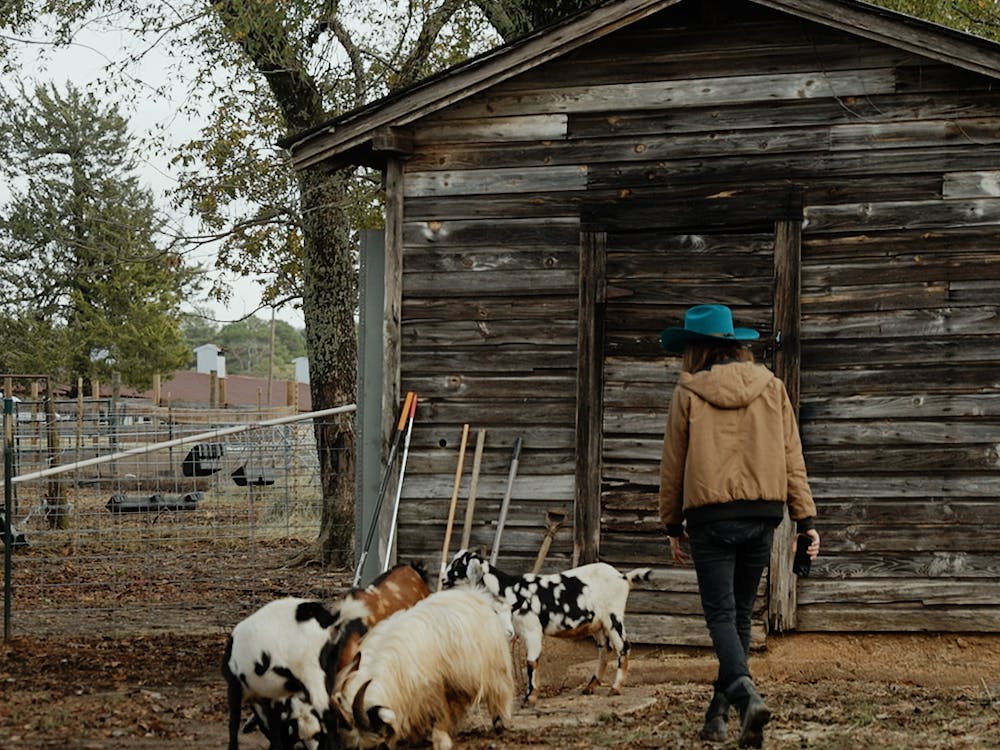 Dawn walking with her rescued goats