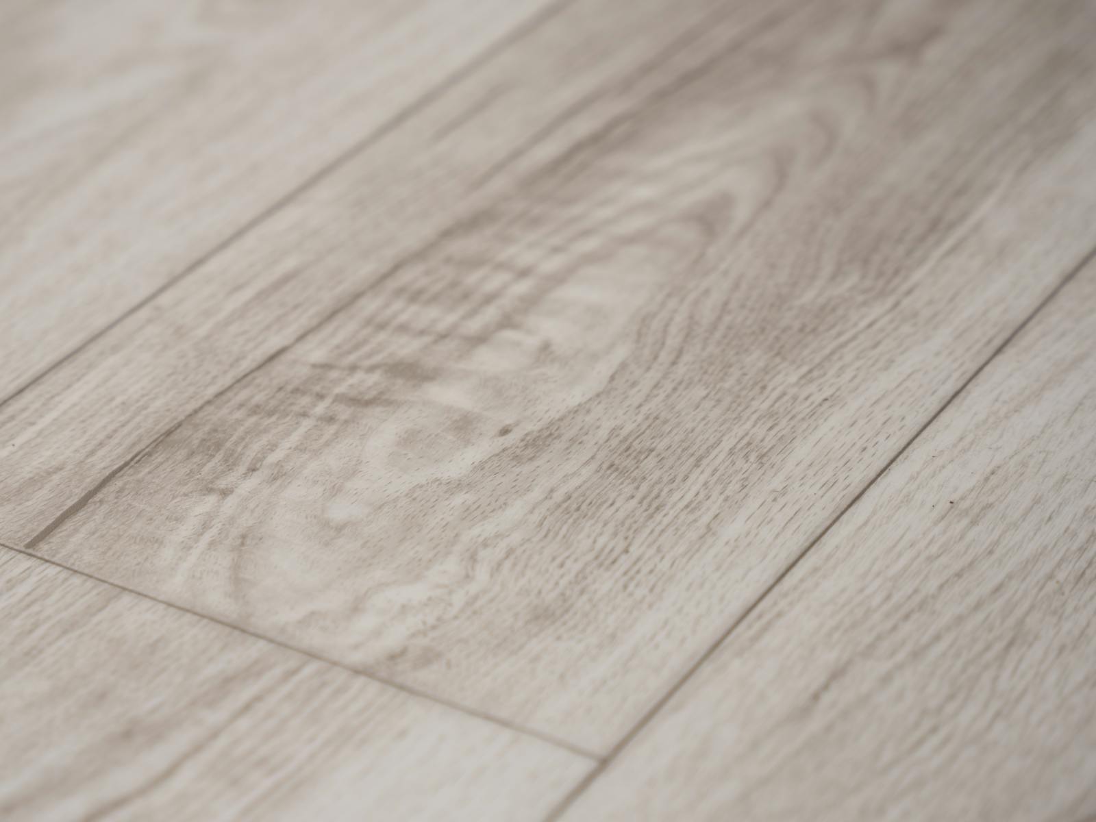 Maple Floor