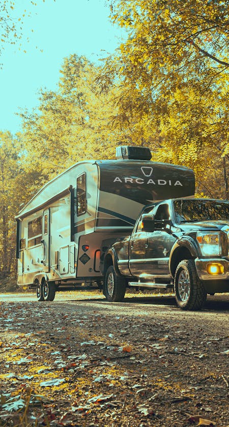 Arcadia