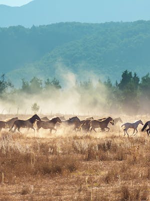 12V Color-Coded Wiring Standard - Keystone RV - Keystone RV