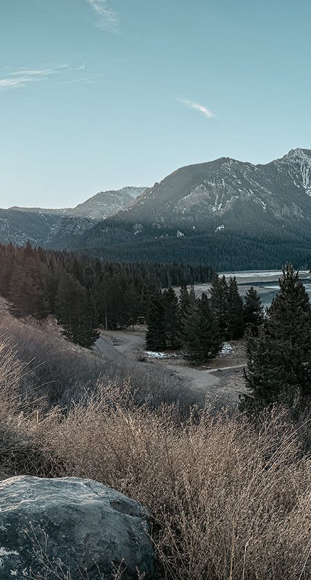MONTANA