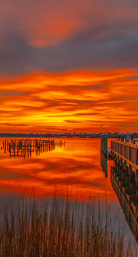 Hampton
