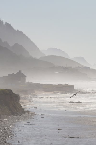 Coastal Shore Line